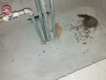 临河卫生间测漏水价格明细