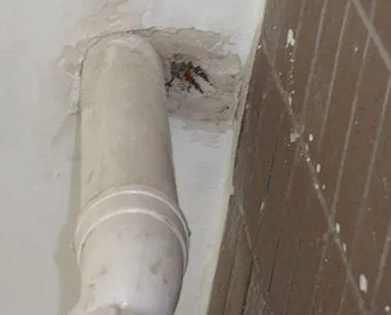 临河漏水检测哪家好